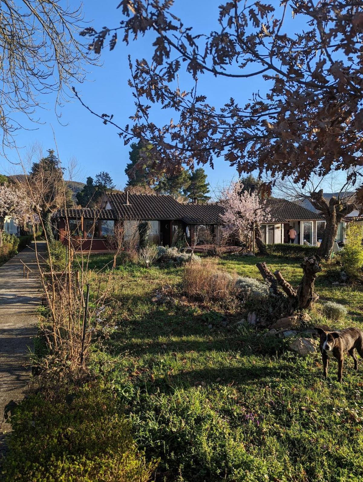 Chalet Sul Trasimeno SantʼArcangelo Eksteriør billede